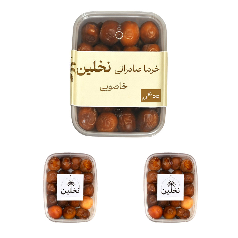خرمای خاصویی نخلین - ۶۲۰ گرم بسته سه عددی